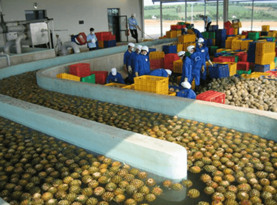Hygienic Processing
